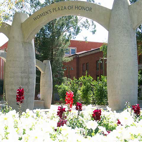Source: www.womensplaza.arizona.edu